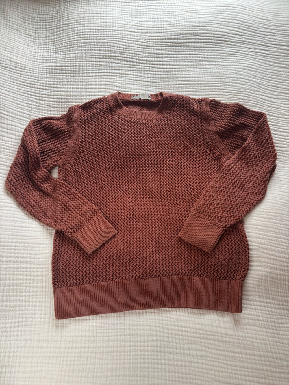 Everlane 100% Cotton Rusty Red Fisherman Crewneck Sweater
